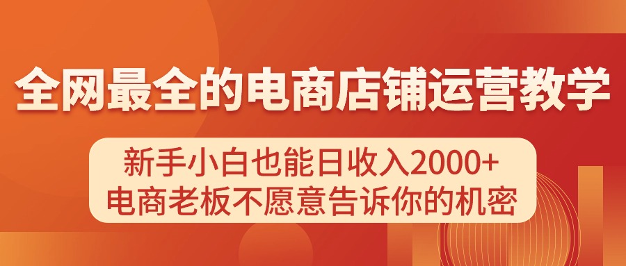 （11266期）电商店铺运营教学，新手小白也能日收入2000+，电商老板不愿意告诉你的机密-邪修侠 - 演示