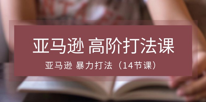 （10870期）亚马逊 高阶打法课，亚马逊 暴力打法（14节课）-邪修侠 - 演示