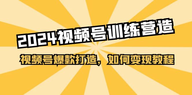 (11135期)2024视频号训练营,视频号爆款打造,如何变现教程(20节课)-邪修侠