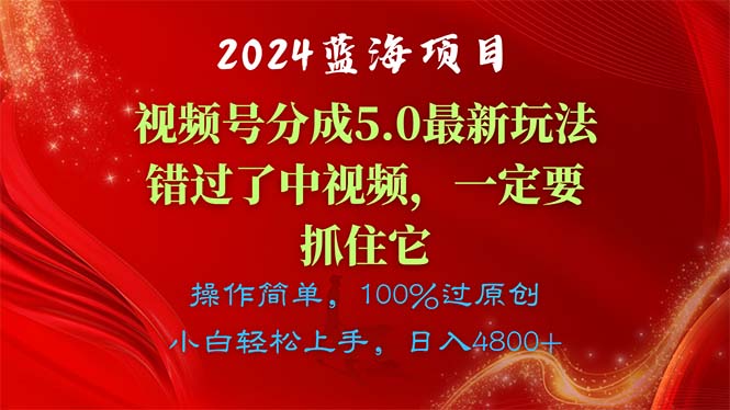 （11032期）2024蓝海项目，视频号分成计划5.0最新玩法，错过了中视频，一定要抓住…-邪修侠 - 演示