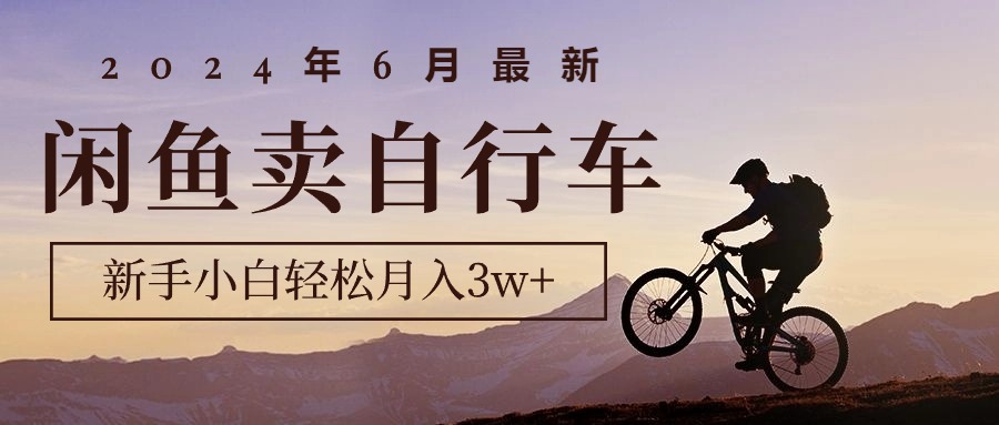 （10915期）2024年6月最新闲鱼卖自行车，新手小白轻松月入3w+项目-邪修侠 - 演示