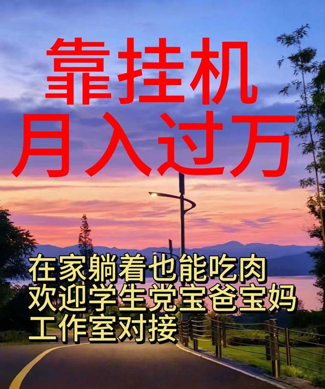 (10838期)靠挂机,日入1000+,躺着也能吃肉,适合宝爸宝妈学生党工作室,电脑手…-邪修侠