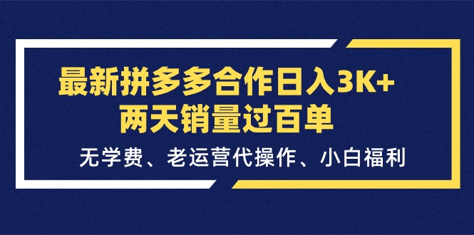 （11291期）最新拼多多合作日入3K+两天销量过百单，无学费、老运营代操作、小白福利-邪修侠 - 演示