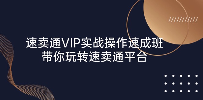 (10935期)速卖通 VIP实战操作-速成班,带你玩转速卖通平台(23节)-邪修侠 - 演示