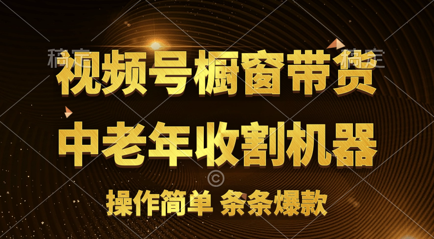 （11009期）[你的孩子成功取得高位]视频号最火爆赛道，橱窗带货，流量分成计划，条…-邪修侠 - 演示