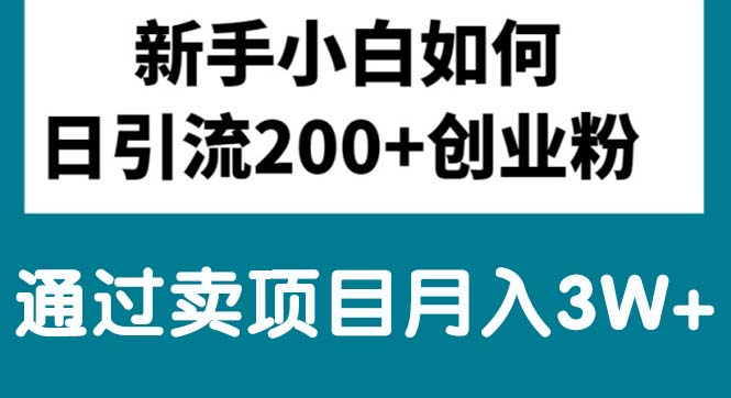 (10843期)新手小白日引流200+创业粉,通过卖项目月入3W+-邪修侠 - 演示