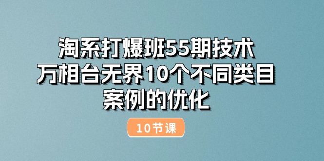 （10996期）淘系打爆班55期技术：万相台无界10个不同类目案例的优化（10节）-邪修侠 - 演示