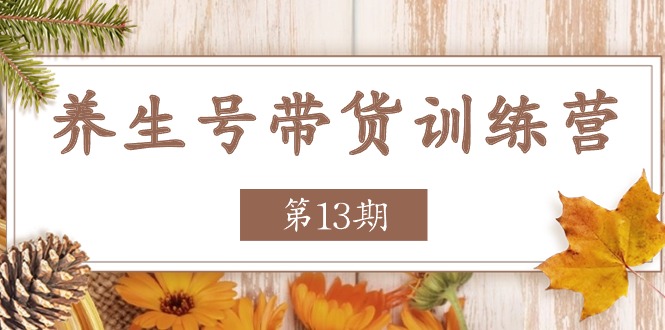（11275期）养生号-带货训练营【第13期】收益更稳定的玩法，让你带货收益爆炸-邪修侠 - 演示