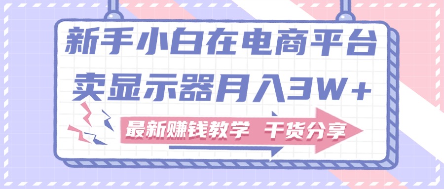 （11053期）新手小白如何做到在电商平台卖显示器月入3W+，最新赚钱教学干货分享-邪修侠 - 演示