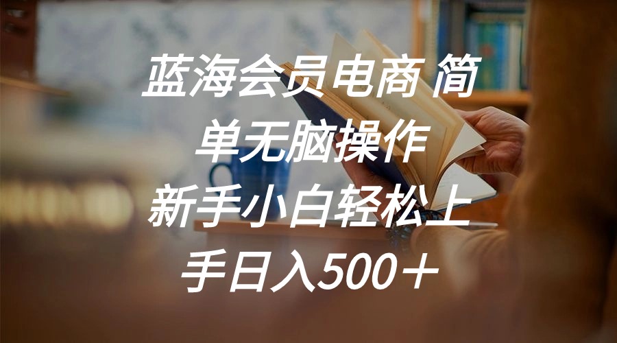 （11068期）蓝海会员电商 简单无脑操作 新手小白轻松上手日入500＋-邪修侠 - 演示