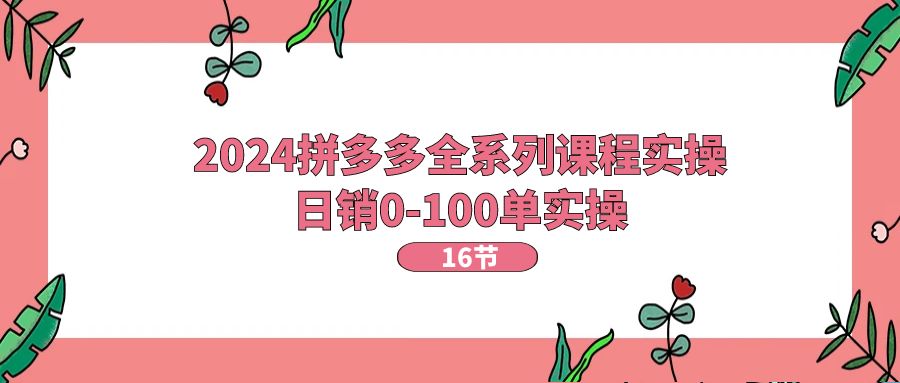 （11222期）2024拼多多全系列课程实操，日销0-100单实操【16节课】-邪修侠 - 演示
