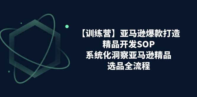 (11210期)【训练营】亚马逊爆款打造之精品开发SOP,系统化洞察亚马逊精品选品全流程-邪修侠