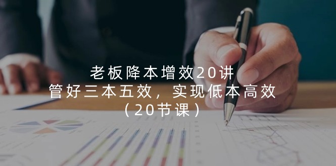 （11238期）老板 降本增效20讲，管好 三本五效，实现低本高效（20节课）-邪修侠 - 演示