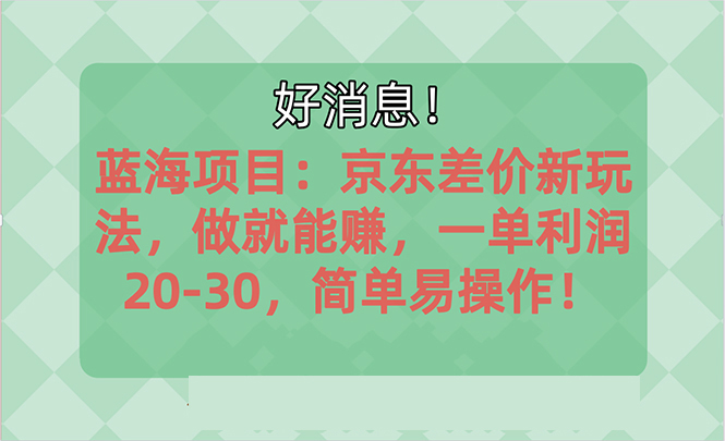 （10989期）越早知道越能赚到钱的蓝海项目：京东大平台操作，一单利润20-30，简单…-邪修侠 - 演示