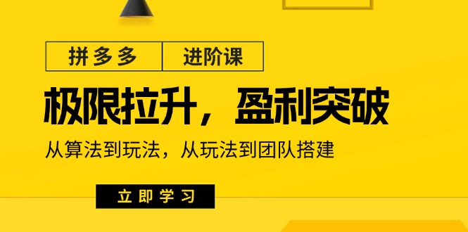 （11435期）拼多多·进阶课：极限拉升/盈利突破：从算法到玩法 从玩法到团队搭建-18节-邪修侠 - 演示