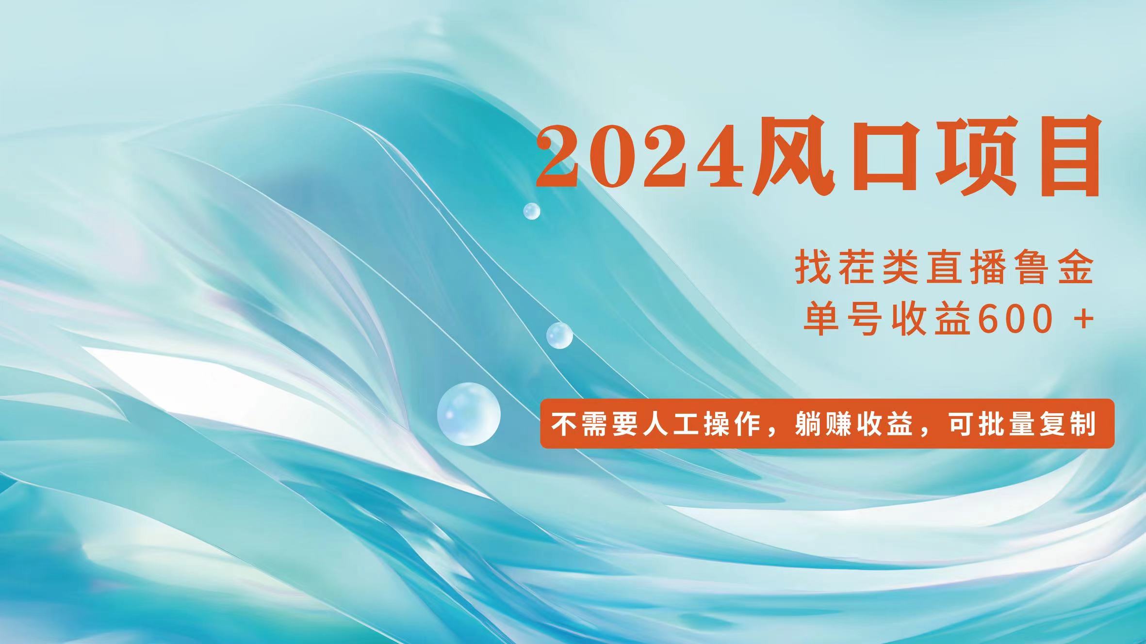 (11868期)小白轻松入手,当天收益600➕,可批量可复制-邪修侠 - 演示