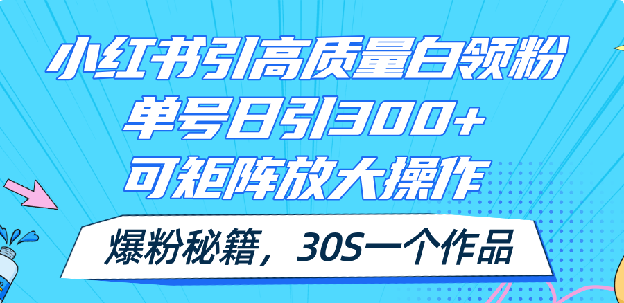 （11692期）小红书引高质量白领粉，单号日引300+，可放大操作，爆粉秘籍！30s一个作品-邪修侠 - 演示