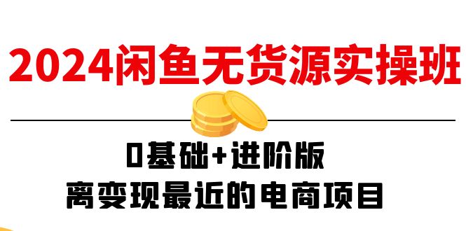 (11535期)2024闲鱼-无货源实操班:0基础+进阶版,离变现最近的电商项目(15节)-邪修侠 - 演示