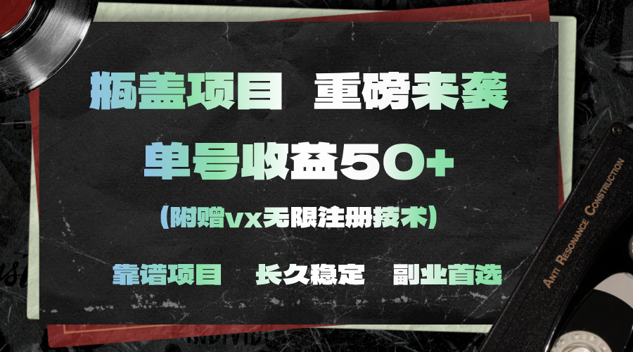 （11381期）一分钟一单，一单利润30+，适合小白操作-邪修侠 - 演示