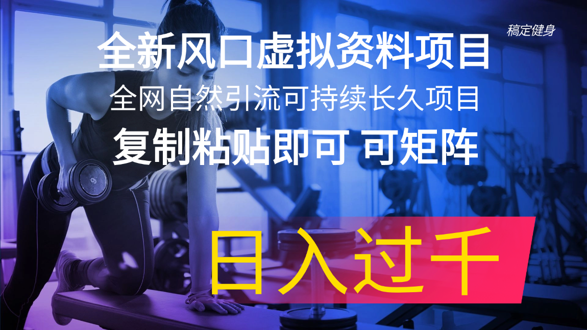 （11587期）全新风口虚拟资料项目 全网自然引流可持续长久项目 复制粘贴即可可矩阵…-邪修侠 - 演示