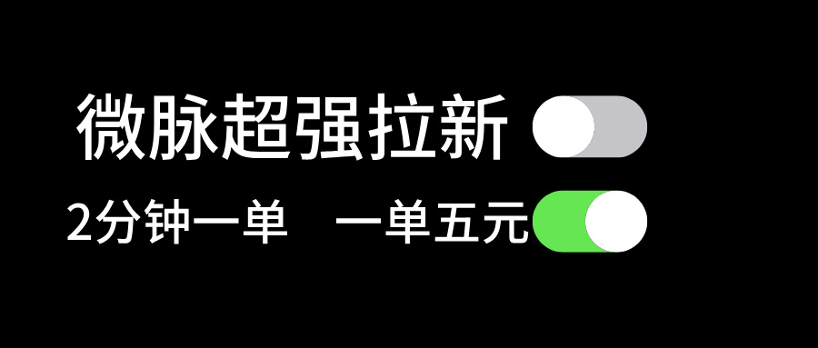 (11580期)微脉超强拉新, 两分钟1单, 一单利润5块,适合小白-邪修侠 - 演示
