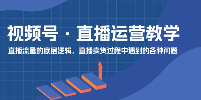 （11687期）视频号 直播运营教学：直播流量的底层逻辑，直播卖货过程中遇到的各种问题-邪修侠 - 演示