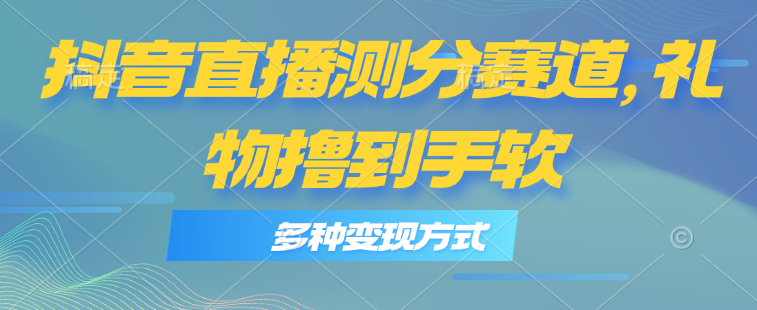 (11380期)抖音直播测分赛道,多种变现方式,轻松日入1000+-邪修侠 - 演示