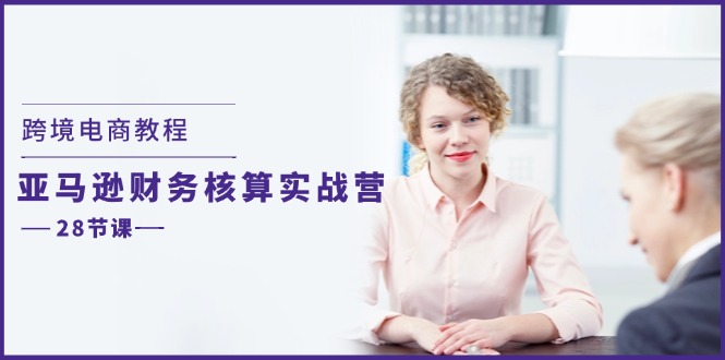 （11706期）跨境电商教程：亚马逊-财务核算实战营（28节课）-邪修侠 - 演示