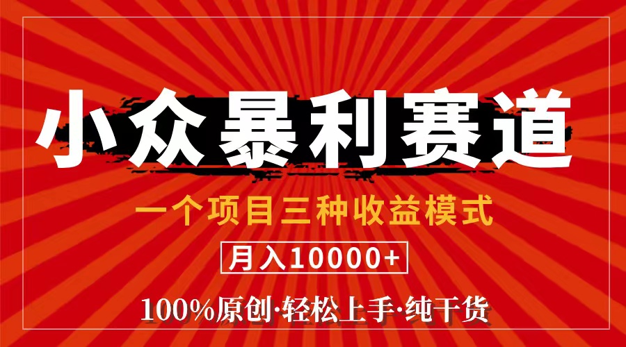 (11695期)视频号【中老年粉深信不疑】小众赛道 100%原创 手把手教学 新号3天收益…-邪修侠 - 演示