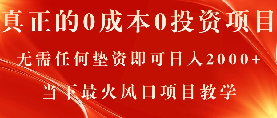 （11387期）真正的0成本0投资项目，无需任何垫资即可日入2000+，当下最火风口项目教学-邪修侠 - 演示