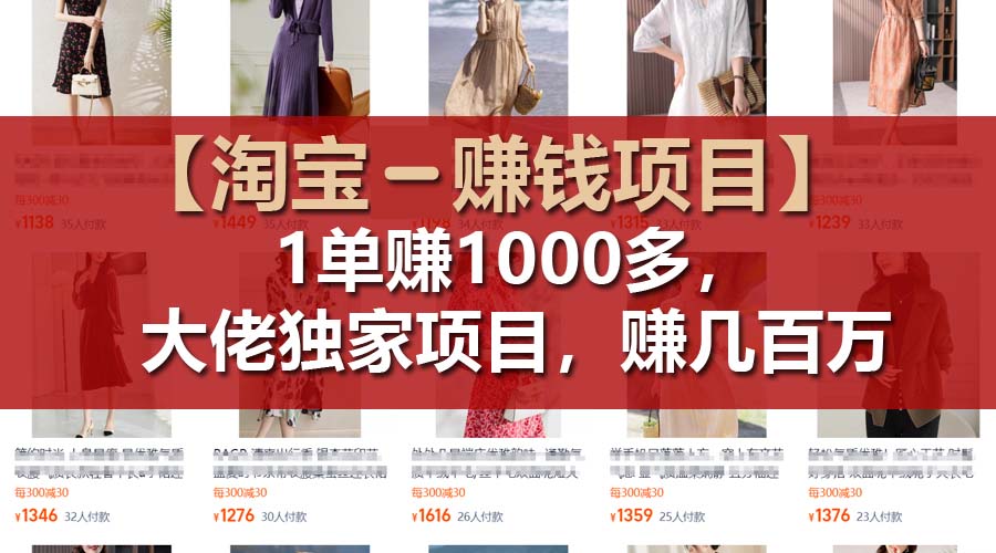 （11685期）【淘宝赚钱项目】1单可赚1000多，大佬独家项目，年赚几百万-邪修侠 - 演示