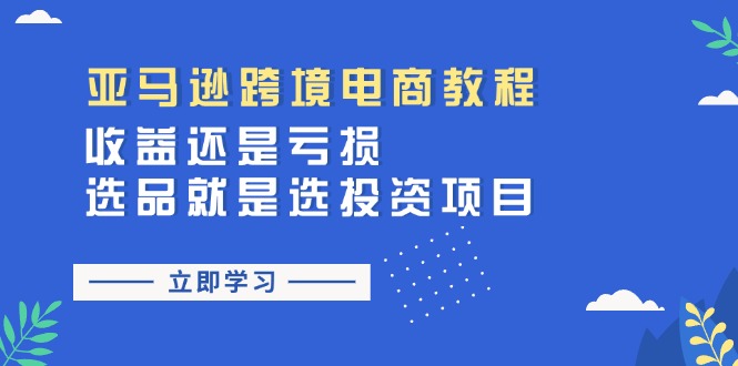 （11432期）亚马逊跨境电商教程：收益还是亏损！选品就是选投资项目-邪修侠 - 演示