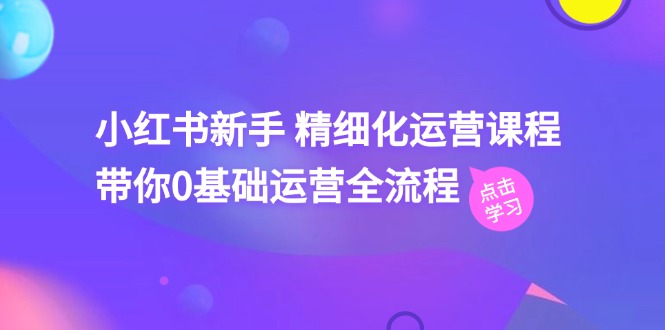 (11417期)小红书新手 精细化运营课程,带你0基础运营全流程(41节视频课)-邪修侠 - 演示