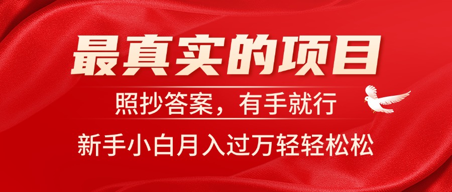 （11362期）最真实的项目，照抄答案，有手就行，新手小白月入过万轻轻松松-邪修侠 - 演示
