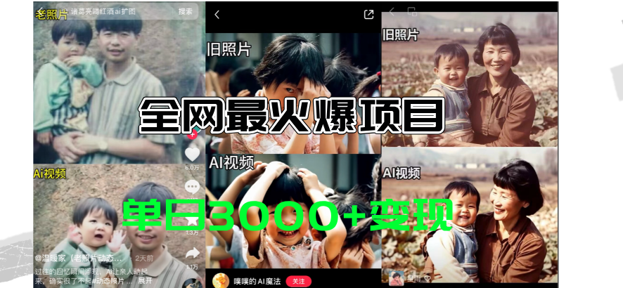 （11546期）全网爆火的AI让老照片动起来教程，蹭热点日赚3000+，内含免费工具一键…-邪修侠 - 演示