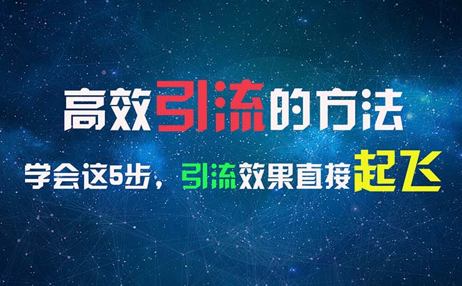 （11776期）高效引流的方法，可以帮助你日引300+创业粉，一年轻松收入30万，比打工强-邪修侠 - 演示
