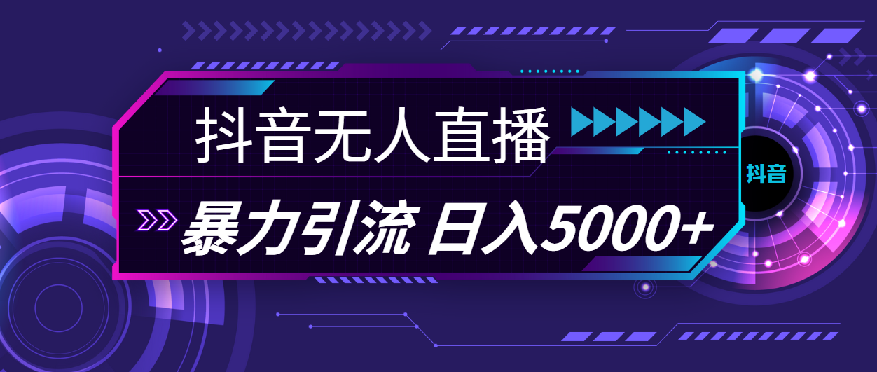 (11709期)抖音无人直播,暴利引流,日入5000+-邪修侠 - 演示