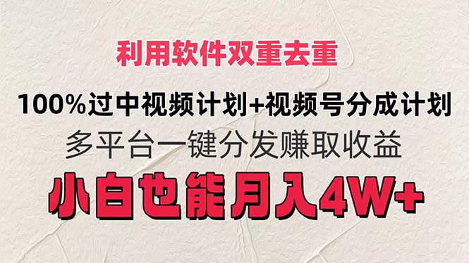 （11862期）利用软件双重去重，100%过中视频+视频号分成计划小白也可以月入4W+-邪修侠 - 演示