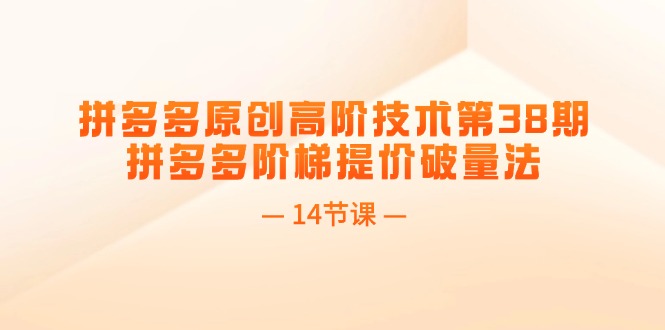 （11704期）拼多多原创高阶技术第38期，拼多多阶梯提价破量法（14节课）-邪修侠 - 演示