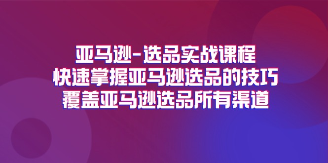 （11620期）亚马逊-选品实战课程，快速掌握亚马逊选品的技巧，覆盖亚马逊选品所有渠道-邪修侠 - 演示