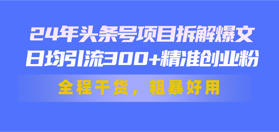 （11397期）24年头条号项目拆解爆文，日均引流300+精准创业粉，全程干货，粗暴好用-邪修侠 - 演示