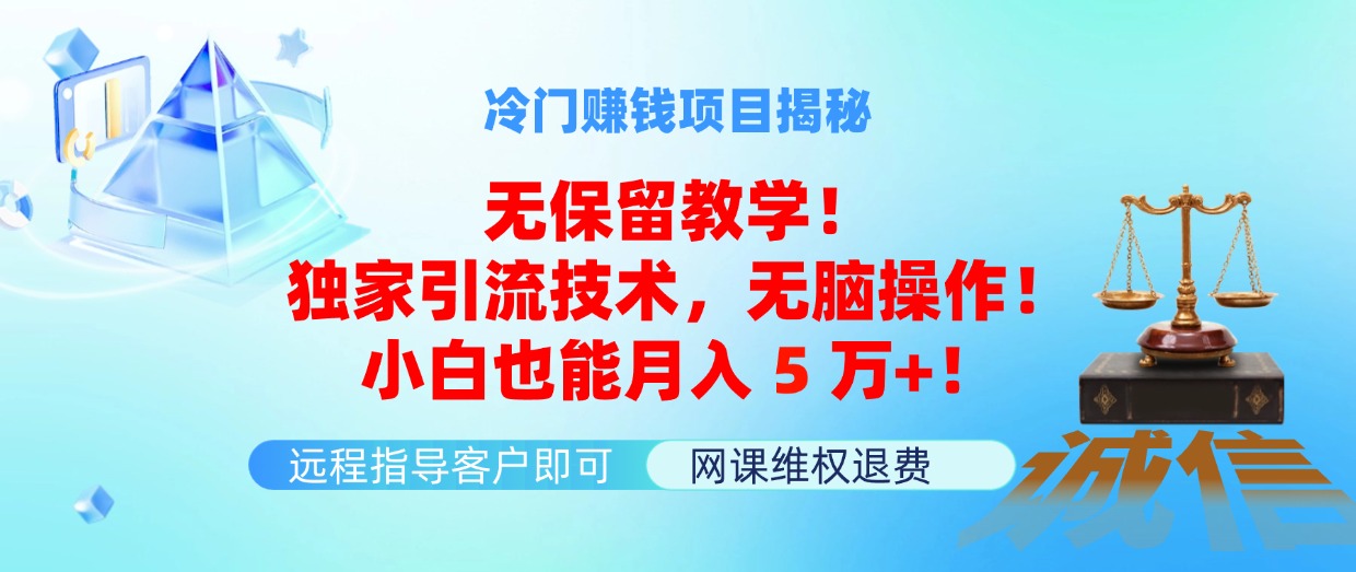 （11864期）冷门赚钱项目无保留教学！独家引流技术，无脑操作！小白也能月入5万+！-邪修侠 - 演示
