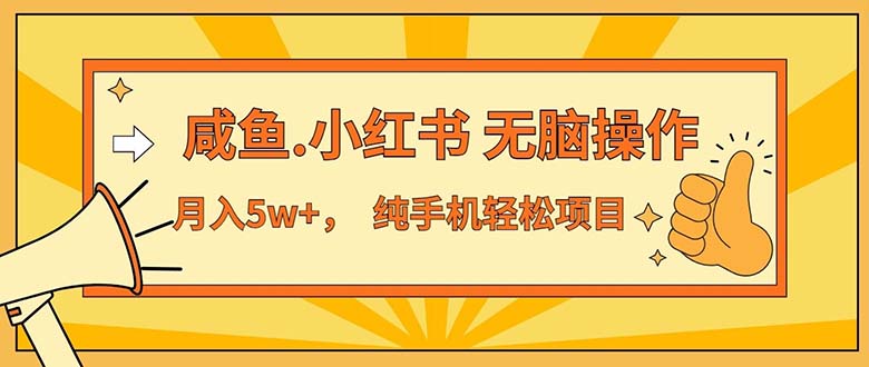 （11524期）2024最赚钱的项目，咸鱼，小红书无脑操作，每单利润500+，轻松月入5万+…-邪修侠 - 演示