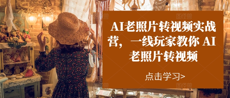 （11477期）AI老照片转视频实操训练营，一线玩家教你AI老照片转视频-邪修侠 - 演示