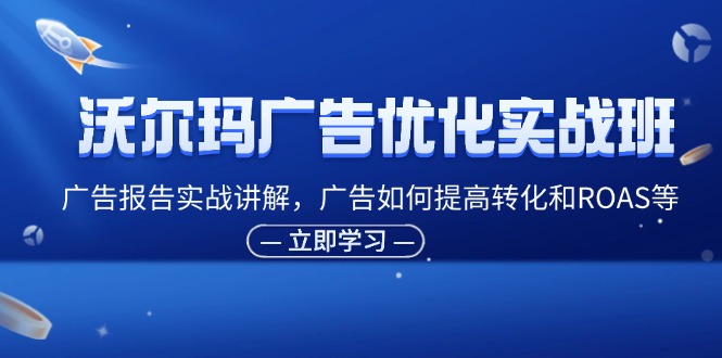 （11847期）沃尔玛广告优化实战班，广告报告实战讲解，广告如何提高转化和ROAS等-邪修侠 - 演示