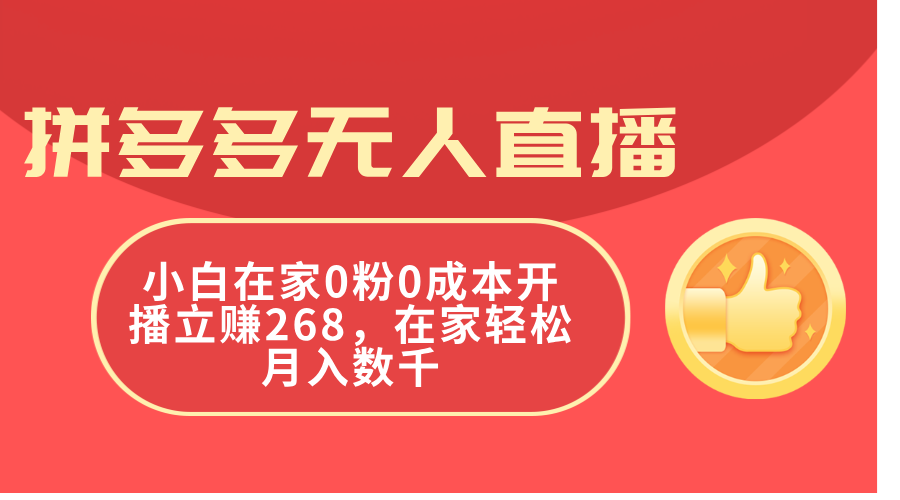（11521期）拼多多无人直播，小白在家0粉0成本开播立赚268，在家轻松月入数千-邪修侠 - 演示