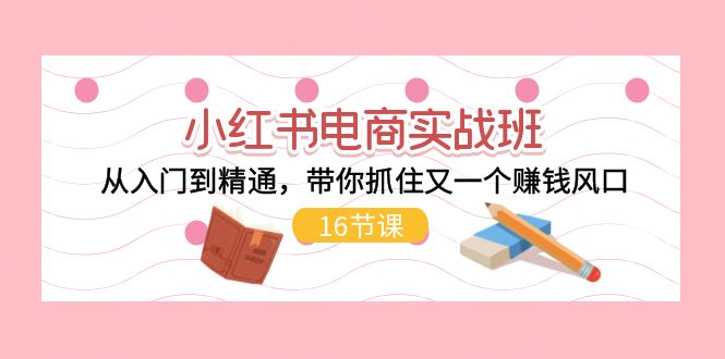 （11533期）小红书电商实战班，从入门到精通，带你抓住又一个赚钱风口（16节）-邪修侠 - 演示