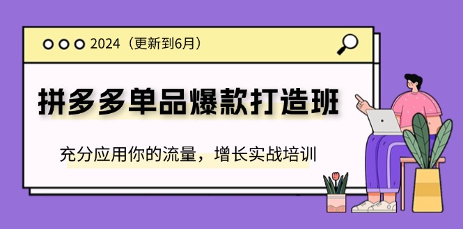 （11556期）2024拼多多-单品爆款打造班(更新6月)，充分应用你的流量，增长实战培训-邪修侠 - 演示