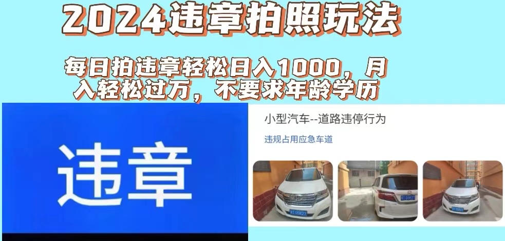 （11743期）2024违章拍照新玩法，推广躺赚+拍照赚钱双模式，日入1000+-邪修侠 - 演示