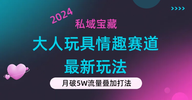 （11541期）私域宝藏：大人玩具情趣赛道合规新玩法，零投入，私域超高流量成单率高-邪修侠 - 演示